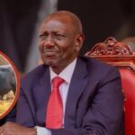 Buffalo Farming Proposal Sparks Political Debate as Kenya Seeks Solutions to Milk Shortage